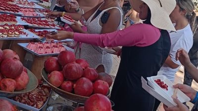 طن ونص من الرمان المنفلوطي يجذب سياح الغردقة 