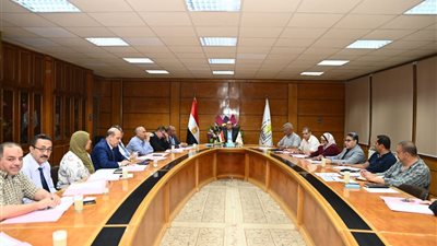 الدكتور المنشاوي يرأس اجتماع اللجنة التنسيقية العليا لمتابعة مشروع مستشفى الأورام الجامعي