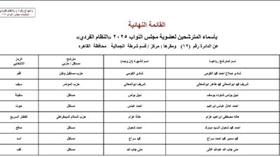 الوطنية للانتخابات تعلن القائمة النهائية لمرشحي النواب في دوائر القاهرة عن النظام الفردي 