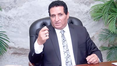 عادل عربى: الأداء الخدمى للبرلمان فى الدورة السابقة الأسوأ فى تاريخ مصر