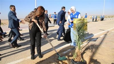 إطلاق المرحلة الرابعة من المبادرة الرئاسية لزراعة 100 مليون شجرة بالوادي الجديد 