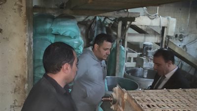 تحرير 11 مخالفة في حملة تفتيشية على المخابز بالدقهلية 