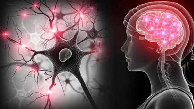 اكتشاف آليات جديدة لتحسين الذاكرة مع التقدم في العمر