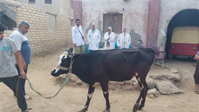 قافلة متكاملة بجامعة قناة السويس لأهالي قرى القصاصين