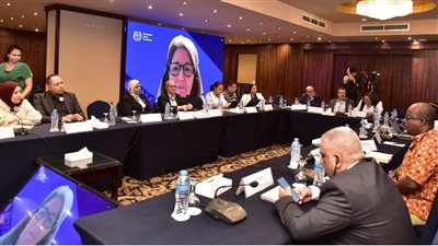 ندوة إقليمية بالقاهرة تجمع النقابات العمالية لتعزيز الانتقال العادل في إفريقيا والدول العربية