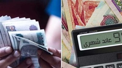 خبير اقتصادي يوضح بدائل شهادات الادخار بعد تراجع سعر الفائدة في مصر