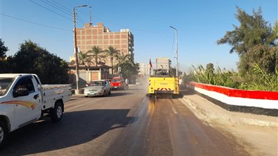 استعدادًا لليلة الختامية لمولد سيدي إبراهيم الدسوقي.. حملات نظافة مكثفة بمحيط المسجد والمدينة 