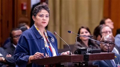 اختيار نميرة نجم عضوًا في المجلس الاستشاري للمركز الدولي الإسكندنافي لتحويل النزاعات
