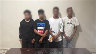 حجز المتهمين في واقعة فيديو «هرة» نهر النيل