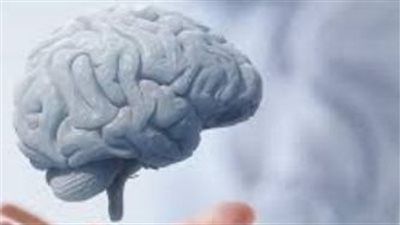 أكثر الأطعمة السريعة ضرراً بصحة الدماغ