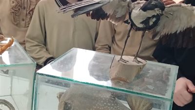 رحلات البحث عن المعرفة للطلاب داخل مركز العلوم بالغربية