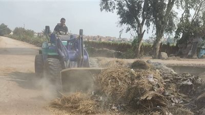 رفع 35 طن قمامة خلال حملة نظافة موسعة بكوم حمادة