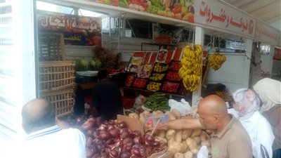 محافظ الدقهلية: أسعار مخفضة بالمعرض الدائم للسلع الغذائية بالمنصورة