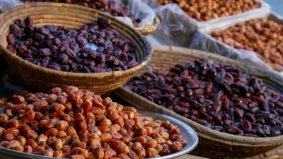 التمر الطازج أم المجفف.. أيهما الأفضل لصحتك؟