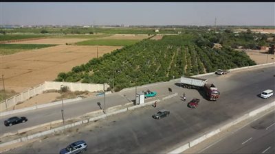 النقل تناشد المواطنين المشاركة في حملة 