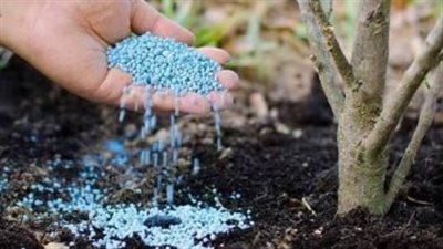 أزمة الأسمدة تتصاعد.. ارتفاع الأسعار يرهق المزارعين ويشعل السوق السوداء