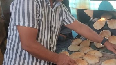 ضبط لحوم غير صالحة للاستهلاك الآدمي خلال حملة تفتيشية بسفاجا