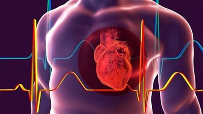 علماء يكشفون الحقيقة.. هل التمارين الرياضية تؤذي القلب؟