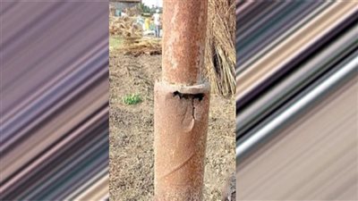 أعمدة الإنارة المتهالكة تهدد حياة الأطفال