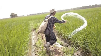 رحلة البحث عن الاسمدة