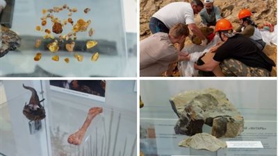 علماء روس يعثرون على كهرمان عمره أكثر من 100 مليون سنة