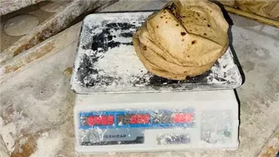 ضبط 51 مخالفة في حملات على المخابز والأسواق بالقليوبية