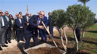 رئيس الرقابة المالية وقيادات التأمين يزرعون مجموعة أشجار بشرم الشيخ