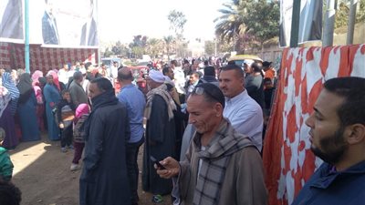 حشود نسائية أمام لجان الإنتخابات بالمنيا 