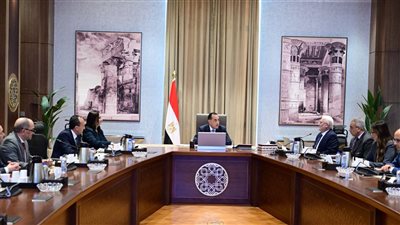 مدبولي يتابع الموقف المالي لهيئة للتأمين الاجتماعي وسُبل تعظيم إيراداتها وعوائدها الاستثمارية