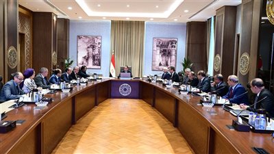 مدبولى يتابع جهود تحسين أوضاع المؤسسات الصحفية القومية والهيئة الوطنية وتسوية مديونياتها