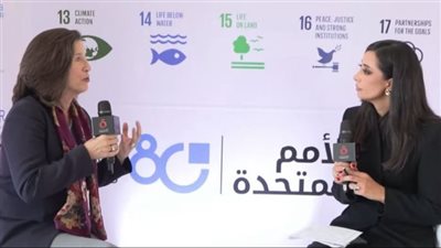 مسئولة بالأمم المتحدة: لدى المنظمة الدولية للهجرة برامج لتمكين المهاجرين للانخراط في سوق العمل