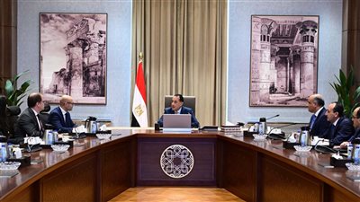 رئيس الوزراء يلتقي سكرتير عام المحكمة الدائمة للتحكيم     