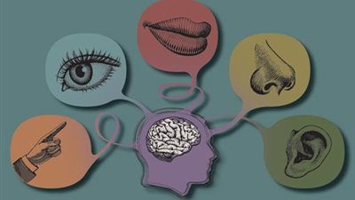 باحثون يكتشفون حاسة سادسة لدى البشر (تفاصيل)