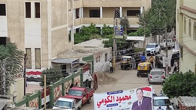 المؤشرات الأولية لنتائج الفرز بدائرة الدلنجات بالبحيرة 