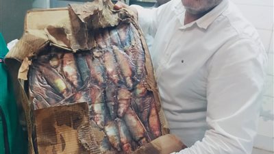 محافظ القليوبية يتابع حملات الطب البيطري للرقابة على الأسواق