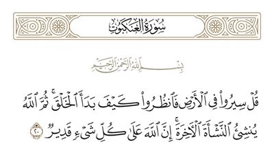 فى رحاب آية