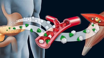 علماء يكشفون عن فائدة مذهلة لهرمونات التمثيل الغذائي 