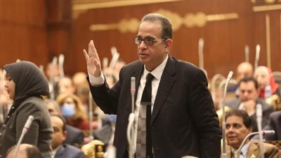 الهيئة البرلمانية لحزب الوفد بمجلس الشيوخ: رسالة الرئيس عن الانتخابات طمأنة للجميع