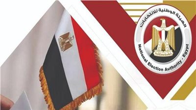 إلغاء انتخابات مجلس النواب في نصف الدوائر الفيوم