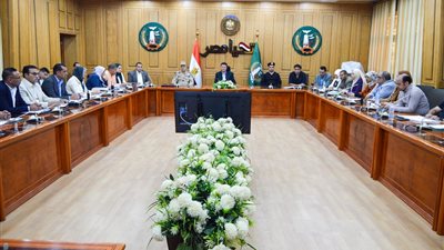 المنوفية تستعد بتجهيز 500 مقر انتخابي 542 لجنة فرعية وعامة