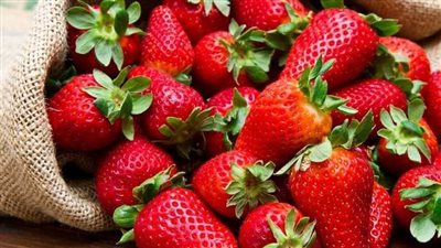 مصر تصدّر أكثر من مليون شتلة فراولة و122 ألف شتلة فاكهة خلال أكتوبر