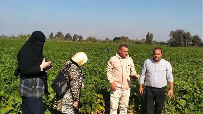 لجنة المكافحة البستانية تتفقد زراعات الفاكهة والخضر بشبراخيت
