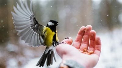 أعمال تجلب البركة للبيوت وأسباب الرزق الواسع 