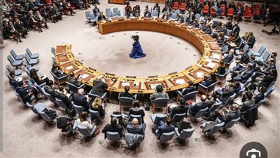مجلس الأمن 