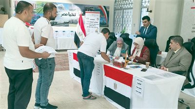 المصريون بالخارج يصوتون بكثافة فى انتخابات «النواب»