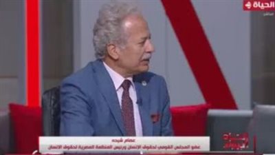 عصام شيحة: إلغاء نتائج 19 دائرة حفز المصريين بالخارج على المشاركة بكثافة