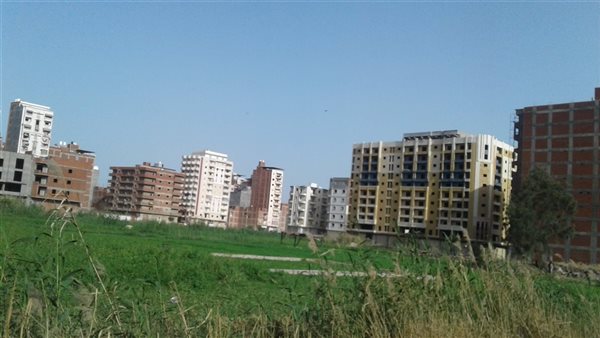 تعبيرية 