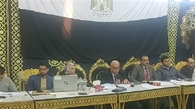 نتائج الحصر العددي للدائرة الثامنة بالشرقية: 4 مرشحون يتنافسون بجولة الإعادة 