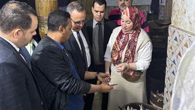  ضبط مخزن أسماك مملحة فاسدة يحوي 5.5 طن تشكل خطرًا على الصحة بالدقهلية 