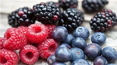 علماء يكشفون العلاقة بين التوت البري وصحة العظام